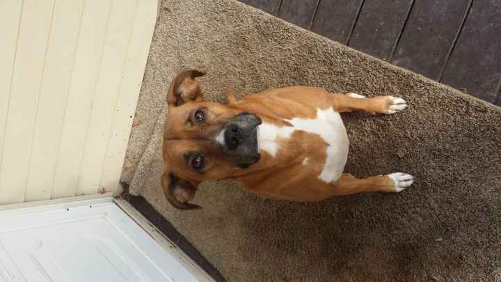 NWR- pets! We love them show me yours :)