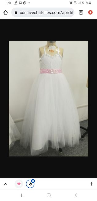 Flower girl dresses from jjshouse - 1