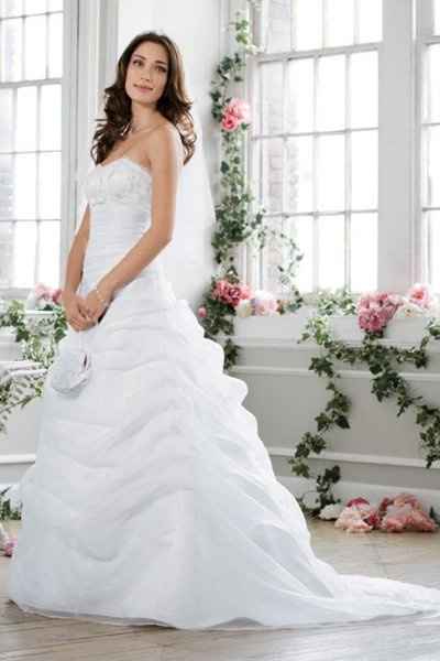 What kind of veil with this dress?