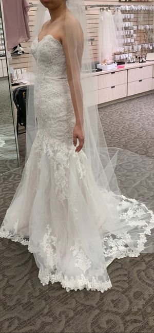 Wedding Dress Length 1