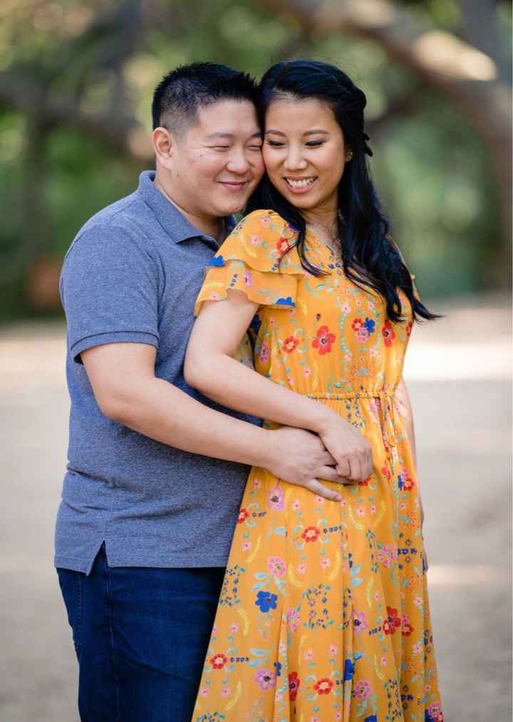 When have our Engagement Photos - 4