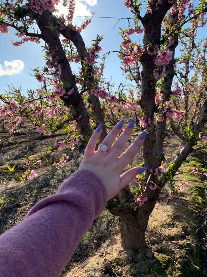 Brides of 2022! Show us your ring! - 1