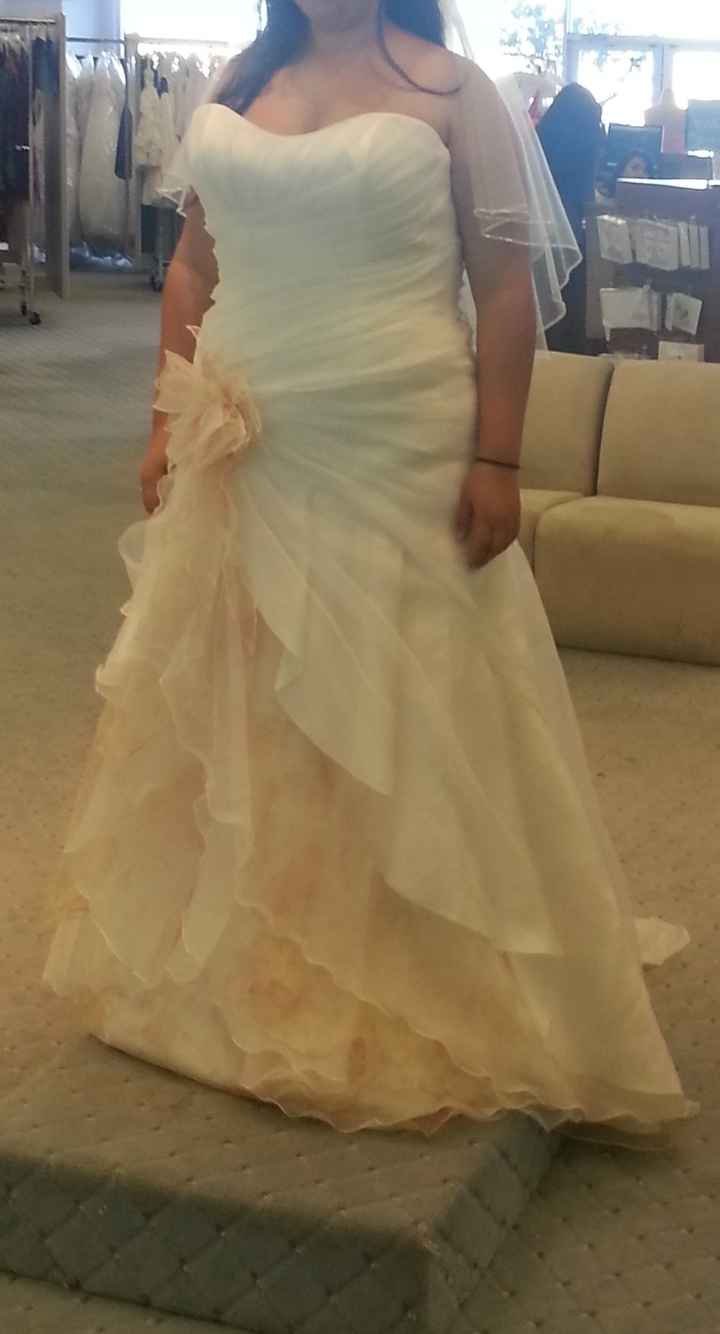 Dress Appointment At Alfred Angelo Tomorrow... Tips/Tricks?!?!