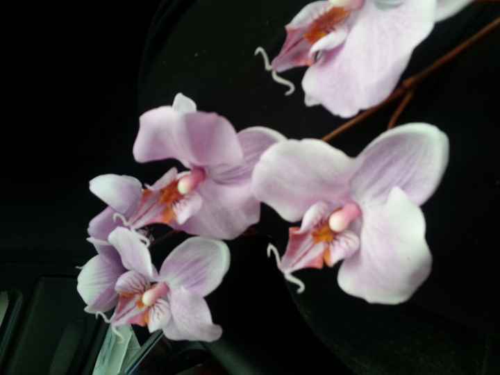 Silk/Artificial Orchids or Other Pinkish-Purple Flower Recommendations