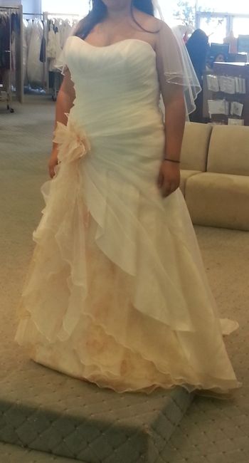 Share dresses you liked but weren't the "one"