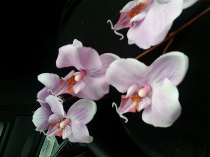 Silk/Artificial Orchids or Other Pinkish-Purple Flower Recommendations