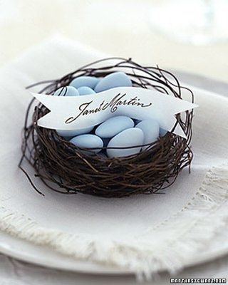 blue bird and branch theme?