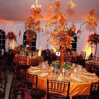 Fall Wedding Ideas