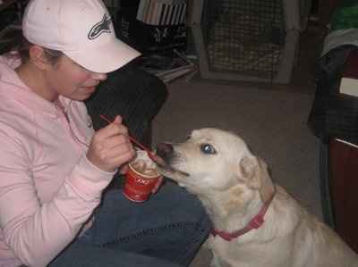 Let's see your pets!