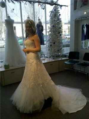 Not your dream dress (pic heavy)