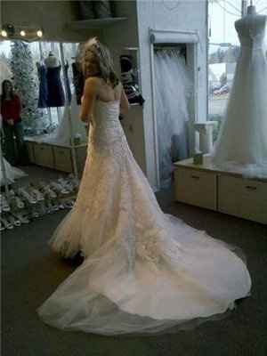 Not your dream dress (pic heavy)