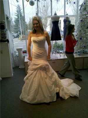 Not your dream dress (pic heavy)