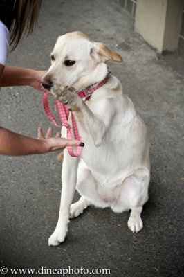 Got my E-Pics cd back today finally!