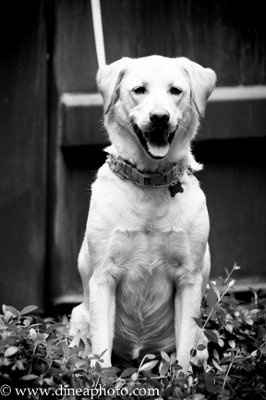 Got my E-Pics cd back today finally!