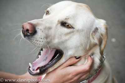 Got my E-Pics cd back today finally!