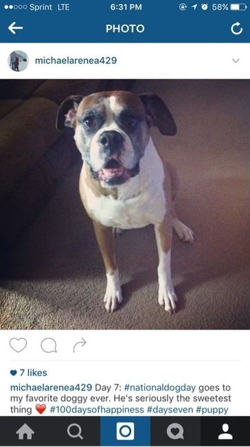 NWR- Does anybody want a dog?