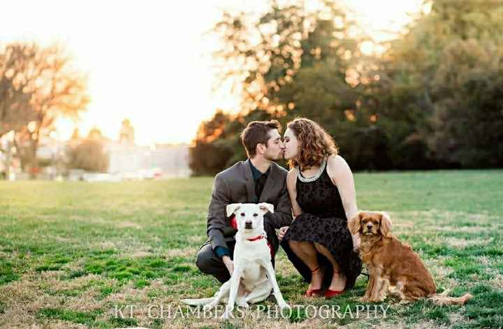 Engagement Pictures - 2