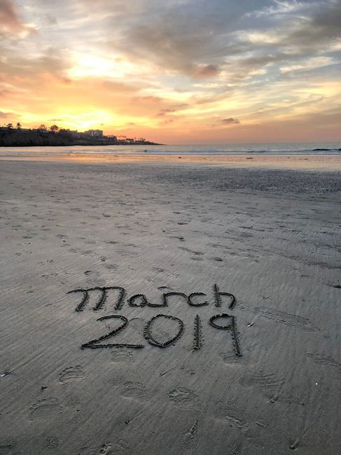 Wedding Save-the-Date