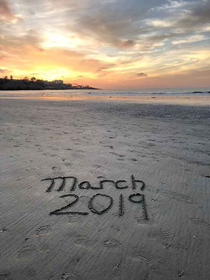 Wedding Save-the-Date