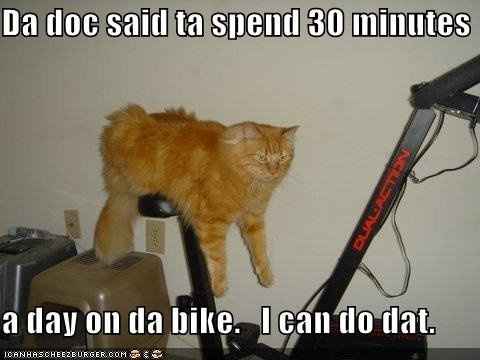 Workout Kitty Says If You See Me