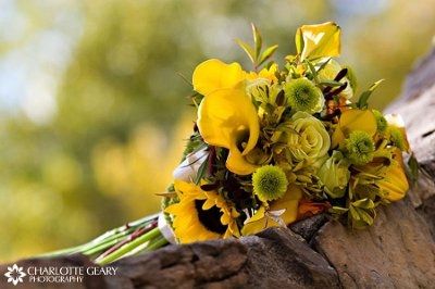 what kind of flowers is everyone doing???? pics