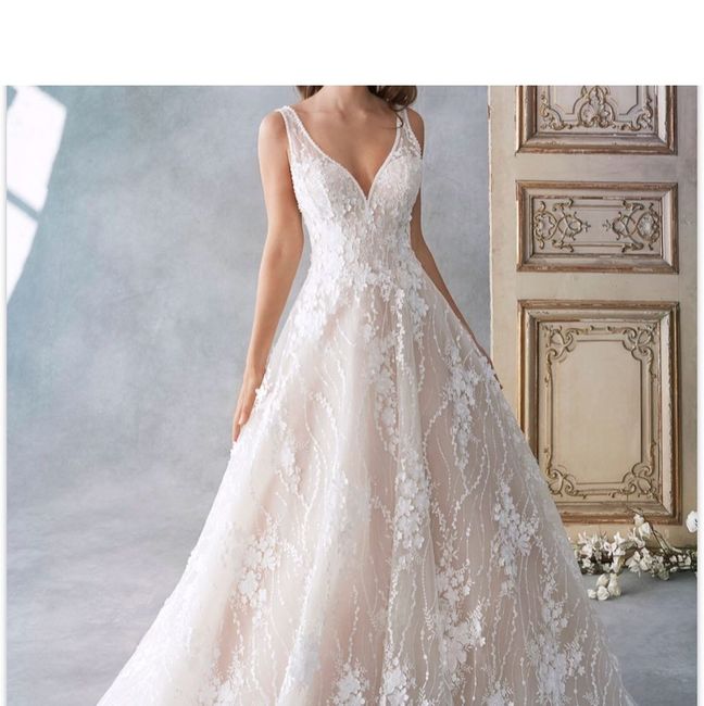 For the detail oriented brides, i need affirmation on this dress! - 2
