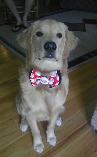 NWR: Lets See Your Fur Babies!