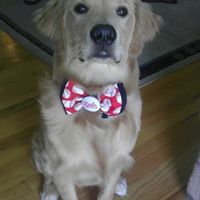 NWR: Lets See Your Fur Babies!