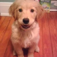 NWR: Lets See Your Fur Babies!