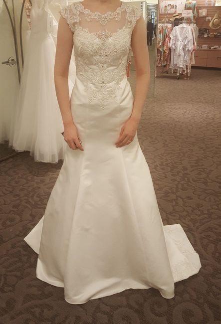Show me you Davids Bridal Dress - 1
