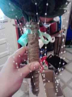 Finished all the flowers!! (Pic heavy)