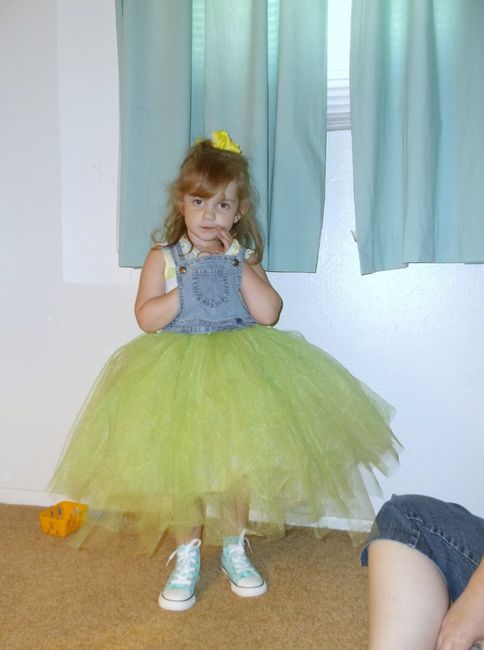 DIY Flower Girl Dress!