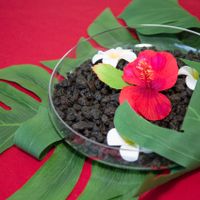 Ideas for Hawaiian Themed Wedding - 2