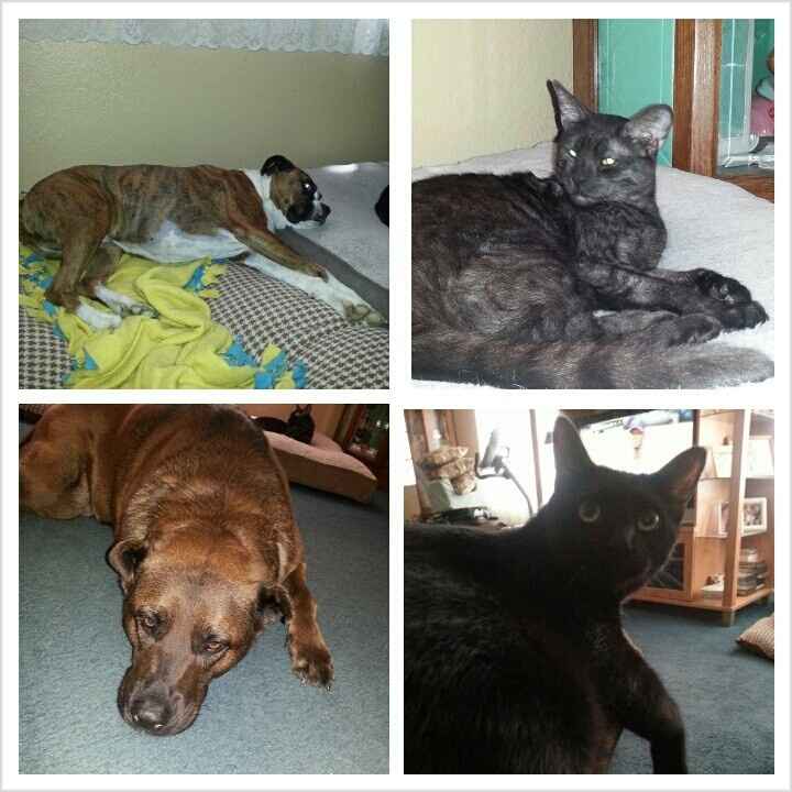 Since its Friday....