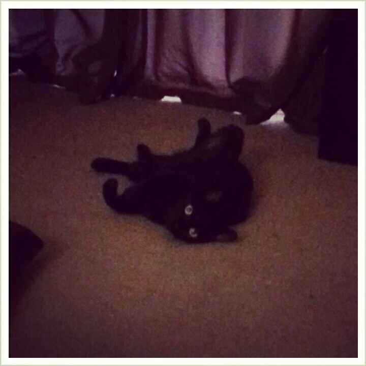 Since its Friday....