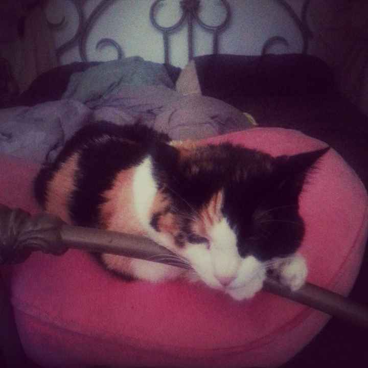 Since its Friday....