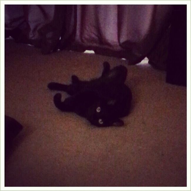 Since its Friday....