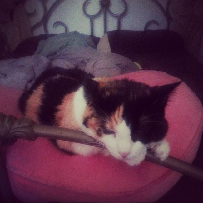 Since its Friday....