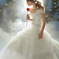 How to wear the Disney Belle dress?