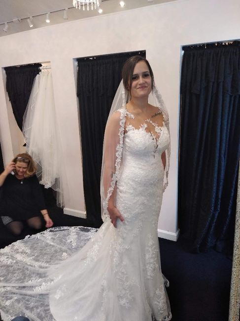 Dress pictures! Need veil opinions - 3
