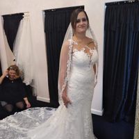 Dress pictures! Need veil opinions - 3