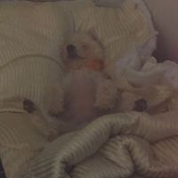 NWR: How could you even consider it?