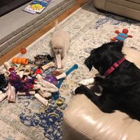 NWR: How could you even consider it?