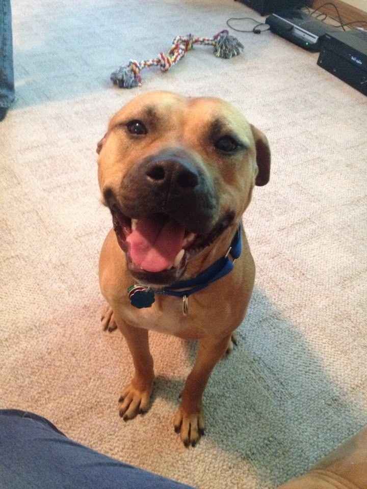 NWR-  It is my Furbaby's Birthday!