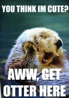 Because it's Thursday...