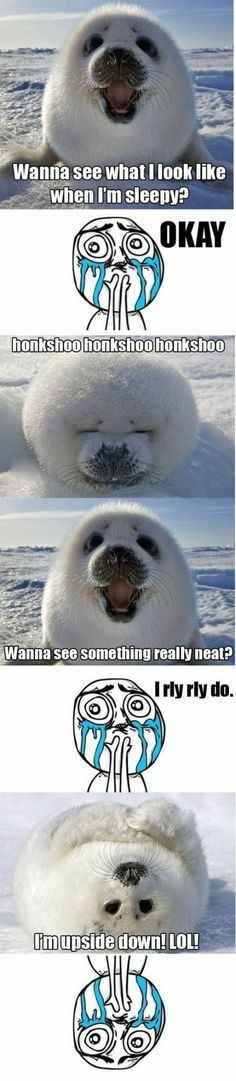 Because it's Thursday...