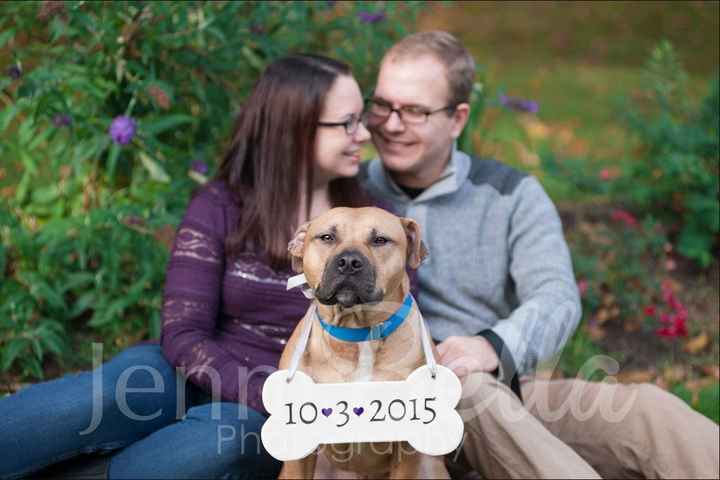 Which Pictures for STD?!