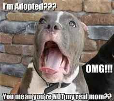NWR: Mrs. A & J - This one's for you!!