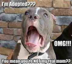 Spread some Happy!!!