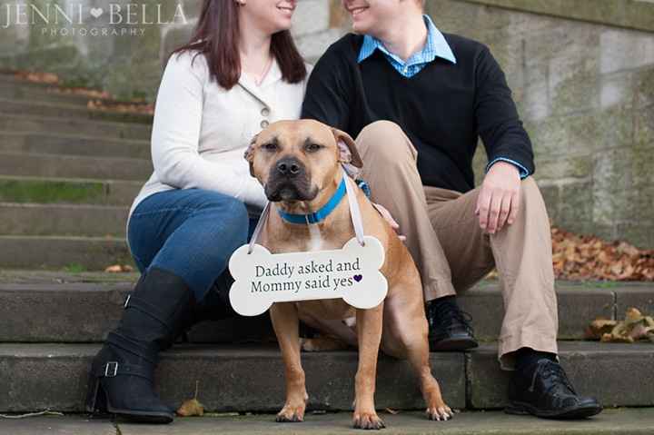 Quickest photographer EVER and I love her - engagement shots back from yesterday!